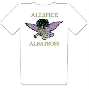 1allspicetee.jpg