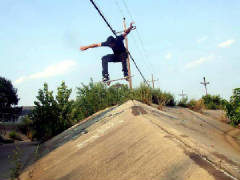 ditchollie.jpg