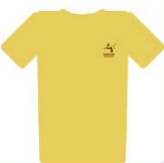 wisdomshirt1.jpg